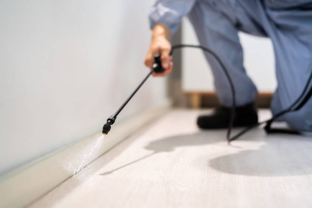 Professional exterminator conducting IPM assessment in Johnson City