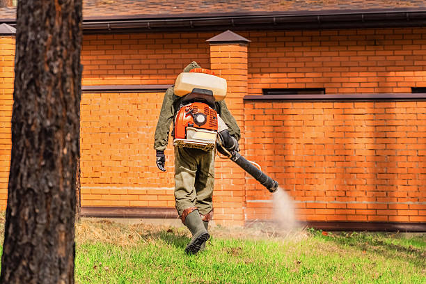 Top rated local Mosquito Control specialists in Johnson City, NY